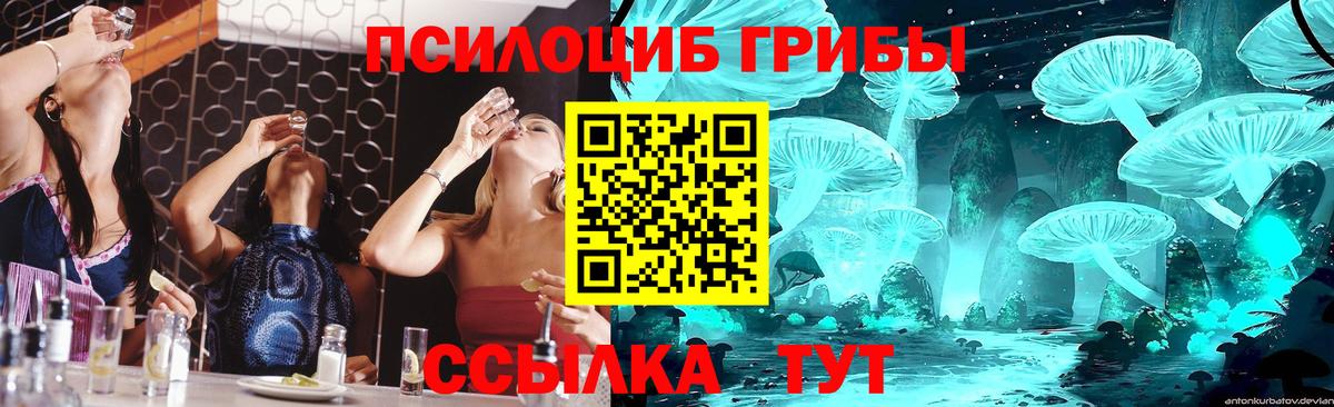 Псилоцибиновые грибы мицелий Ачинск